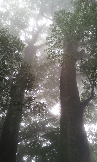 2012-07-05 15.34.08.jpg